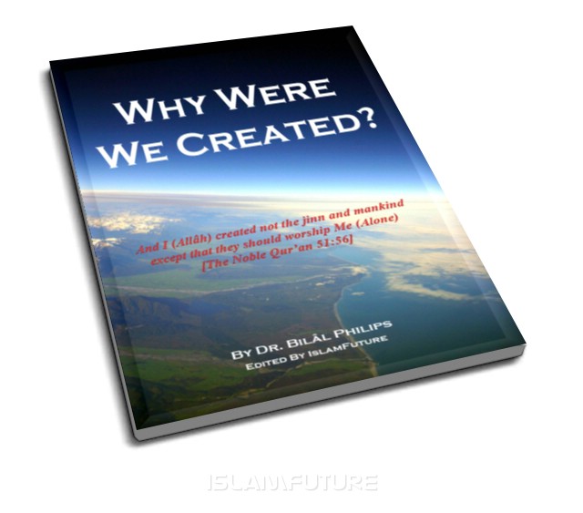 Why Were We Created ?